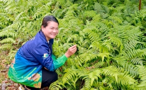 ผู้บริหาร มรภ.เทพสตรี ลงพื้นที่เยี่ยมชมและประชุมร่วมกับบุคลากรของศูนย์ส่งเสริมการจัดการศึกษาตามพระบรมราโชบายฯ และหน่วยจัดการศึกษานอกที่ตั้ง อ.เดิมบางนางบวช 