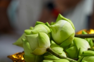 มรภ.เทพสตรี ร่วมพิธีวันวิสาขบูชา ประจำปี พ.ศ. 2568