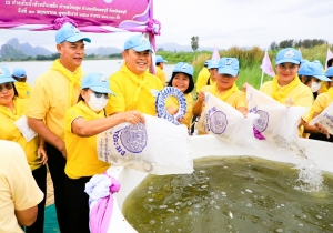 มรภ.เทพสตรี ร่วมกิจกรรมจิตอาสาพัฒนาเนื่องในวันเฉลิมพระชนมพรรษา สมเด็จพระนางเจ้าฯ พระบรมราชินี