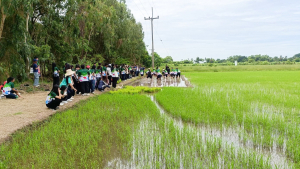 ศูนย์ส่งเสริมการจัดการศึกษาตามพระบรมราโชบาย มรภ.เทพสตรี จัดโครงการส่งเสริมการเรียนรู้เกษตรทฤษฎีใหม่เพื่อการส่งเสริมอาชีพ สำหรับนักศึกษา มรภ.เทพสตรี