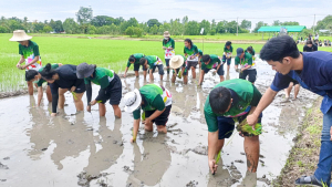 ศูนย์ส่งเสริมการจัดการศึกษาตามพระบรมราโชบาย มรภ.เทพสตรี จัดโครงการส่งเสริมการเรียนรู้เกษตรทฤษฎีใหม่เพื่อการส่งเสริมอาชีพ สำหรับนักศึกษา มรภ.เทพสตรี