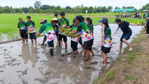 ศูนย์ส่งเสริมการจัดการศึกษาตามพระบรมราโชบาย มรภ.เทพสตรี จัดโครงการส่งเสริมการเรียนรู้เกษตรทฤษฎีใหม่เพื่อการส่งเสริมอาชีพ สำหรับนักศึกษา มรภ.เทพสตรี