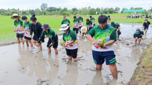 ศูนย์ส่งเสริมการจัดการศึกษาตามพระบรมราโชบาย มรภ.เทพสตรี จัดโครงการส่งเสริมการเรียนรู้เกษตรทฤษฎีใหม่เพื่อการส่งเสริมอาชีพ สำหรับนักศึกษา มรภ.เทพสตรี