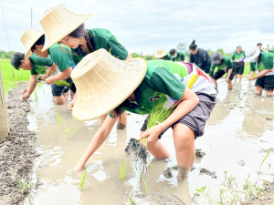 ศูนย์ส่งเสริมการจัดการศึกษาตามพระบรมราโชบาย มรภ.เทพสตรี จัดโครงการส่งเสริมการเรียนรู้เกษตรทฤษฎีใหม่เพื่อการส่งเสริมอาชีพ สำหรับนักศึกษา มรภ.เทพสตรี