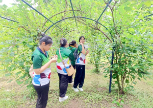 ศูนย์ส่งเสริมการจัดการศึกษาตามพระบรมราโชบาย มรภ.เทพสตรี จัดโครงการส่งเสริมการเรียนรู้เกษตรทฤษฎีใหม่เพื่อการส่งเสริมอาชีพ สำหรับนักศึกษา มรภ.เทพสตรี