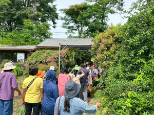 ศูนย์ส่งเสริมการเรียนรู้ระดับอำเภอโพธิ์ทอง นำประชาชนเข้าศึกษาดูงานและร่วมทำกิจกรรมฐานการเรียนรู้ด้านเกษตรกรรมของศูนย์ส่งเสริมการจัดการศึกษาตามพระบรมราโชบาย มรภ.เทพสตรี