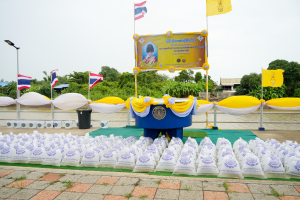 มรภ.เทพสตรี ร่วมกิจกรรมจิตอาสาพัฒนาเนื่องในวันเฉลิมพระชนมพรรษา พระบาทสมเด็จพระเจ้าอยู่หัว