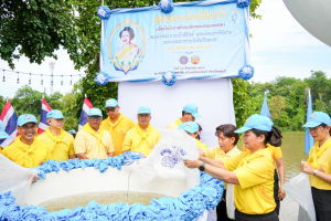 มรภ.เทพสตรี ร่วมกิจกรรมจิตอาสาพัฒนาเนื่องในวันเฉลิมพระชนมพรรษา สมเด็จพระนางเจ้าสิริกิติ์ พระบรมราชินีนาถ พระบรมราชชนนีพันปีหลวง