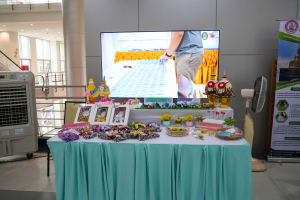 มรภ.เทพสตรี ร่วมพิธีลงนามความร่วมมือโครงการส่งเสริมการศึกษาและการมีงานทำสำหรับคนพิการ