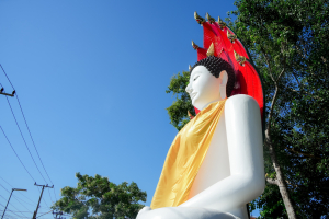 มรภ.เทพสตรี ร่วมกิจกรรมจิตอาสาพัฒนาเนื่องในวันนวมินทรมหาราช