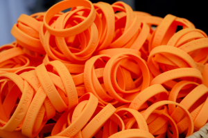 มรภ.เทพสตรี และ กระทรวง อว. จัดงานดนตรีในสวน : H.M. Song อว. บรรเลงเพลงของพ่อ เทิดพระเกียรติ รัชกาลที่ 9 เพื่อน้อมรำลึกถึงพระปรีชาสามารถด้านดนตรี และสืบสานบทเพลงพระราชนิพนธ์โดยคนรุ่นใหม่