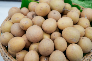 มรภ.เทพสตรี ร่วมกับ เทศบาลตำบลป่าตาล และภาคีเครือข่าย จัดแถลงข่าวการจัดงานเทศกาลโคมลม ครั้งที่ 2 