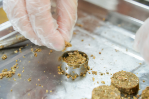 มรภ.เทพสตรี ร่วมกับ จังหวัดลพบุรี และสำนักงานทรัพยากรธรรมชาติและสิ่งแวดล้อมจังหวัดลพบุรี อบรมถ่ายทอดเทคโนโลยีการผลิตอาหารลิงสำเร็จรูปและการบริหารจัดการด้านการให้อาหารอย่างเป็นระบบ