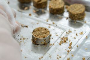 มรภ.เทพสตรี ร่วมกับ จังหวัดลพบุรี และสำนักงานทรัพยากรธรรมชาติและสิ่งแวดล้อมจังหวัดลพบุรี อบรมถ่ายทอดเทคโนโลยีการผลิตอาหารลิงสำเร็จรูปและการบริหารจัดการด้านการให้อาหารอย่างเป็นระบบ