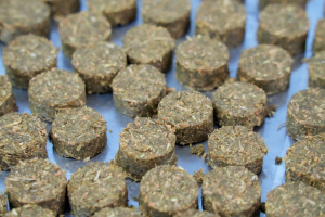 มรภ.เทพสตรี ร่วมกับ จังหวัดลพบุรี และสำนักงานทรัพยากรธรรมชาติและสิ่งแวดล้อมจังหวัดลพบุรี อบรมถ่ายทอดเทคโนโลยีการผลิตอาหารลิงสำเร็จรูปและการบริหารจัดการด้านการให้อาหารอย่างเป็นระบบ