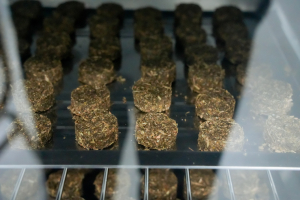 มรภ.เทพสตรี ร่วมกับ จังหวัดลพบุรี และสำนักงานทรัพยากรธรรมชาติและสิ่งแวดล้อมจังหวัดลพบุรี อบรมถ่ายทอดเทคโนโลยีการผลิตอาหารลิงสำเร็จรูปและการบริหารจัดการด้านการให้อาหารอย่างเป็นระบบ