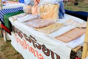 มรภ.เทพสตรี ร่วมกับ เทศบาลตำบลป่าตาล และภาคีเครือข่าย จัดงานเทศกาลโคมลม ครั้งที่ 2 สืบสานวัฒนธรรมท้องถิ่น