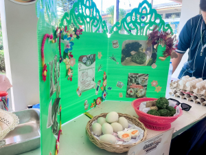 มรภ.เทพสตรี ร่วมโครงการค่ายอาสา 6 ราชภัฏเขตภูมิศาสตร์ภาคกลาง ครั้งที่ 9 เพื่อพัฒนาโรงเรียนมัธยมท่าแคลง จ.จันทบุรี