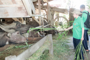 รร.สาธิต มรภ.เทพสตรี น้อมนำศาสตร์พระราชา จัดโครงการพัฒนาทักษะชีวิตตามศาสตร์พระราชาให้แก่นักเรียนชั้นมัธยมศึกษาปีที่ 5
