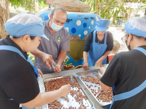 ศูนย์ส่งเสริมการจัดการศึกษาตามพระบรมราโชบาย มรภ.เทพสตรี ลงพื้นที่บางขันหมาก จัดอบรมการทำถั่วกรอบแก้ว หนุนชาวบ้านสร้างอาชีพตามรอยศาสตร์พระราชา