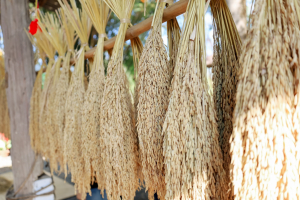 คณะวิทยาการจัดการ รุกสร้างสรรค์เศรษฐกิจริมน้ำ เปิดตัวโครงการ 