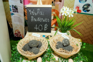 มรภ.เทพสตรี เปิดนิทรรศการ 