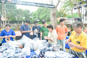 มรภ.เทพสตรี จัดกิจกรรมลานวิถีไทย งานแผ่นดินสมเด็จพระนารายณ์มหาราช ประจำปี พ.ศ. 2569 ครั้งที่ 38