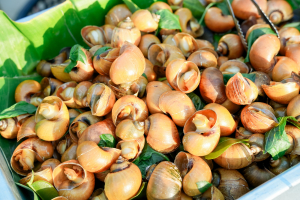 มรภ.เทพสตรี จัดกิจกรรมลานวิถีไทย งานแผ่นดินสมเด็จพระนารายณ์มหาราช ประจำปี พ.ศ. 2569 ครั้งที่ 38