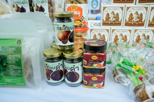 มรภ.เทพสตรี จัดกิจกรรมลานวิถีไทย งานแผ่นดินสมเด็จพระนารายณ์มหาราช ประจำปี พ.ศ. 2569 ครั้งที่ 38