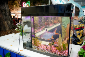 อธิการบดี มรภ.เทพสตรี นำคณะผู้บริหาร เยี่ยมชมเทศกาลกินปลาและของดีเมืองสิงห์ ประจำปี พ.ศ. 2569 พร้อมศึกษาอัตลักษณ์อาหารพื้นถิ่น ต่อยอดโครงการ 