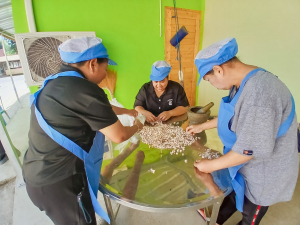 ศูนย์ส่งเสริมการจัดการศึกษาตามพระบรมราโชบาย มรภ.เทพสตรี รุกพื้นที่ ต.บางงา จัดอบรม 