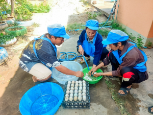 ศูนย์ส่งเสริมการจัดการศึกษาตามพระบรมราโชบาย น้อมนำศาสตร์พระราชาลงพื้นที่สิงห์บุรี จัดอบรมไข่เค็มใบเตยดินสอพอง เสริมสร้างอาชีพและเศรษฐกิจฐานรากอย่างยั่งยืน