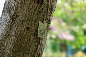 คณะวิทยาศาสตร์ฯ ร่วมกับ โรงเรียนบรรจงรัตน์ จัดค่าย SMEP 2/2568 มุ่งเน้นการเรียนรู้เชิงปฏิบัติการ เสริมสร้างทักษะวิทยาศาสตร์นอกห้องเรียน