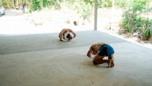 มรภ.เทพสตรี รุกยกระดับอาจารย์ที่ปรึกษา จัดอบรม Upskill - Reskill ปั้นนักศึกษาด้วยกระบวนการ วิศวกรสังคม มุ่งเป้าความยั่งยืน SDGs