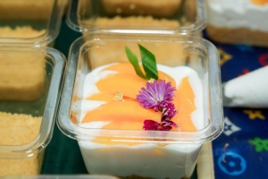 มรภ.เทพสตรี ร่วมพิธีเปิดโครงการสร้างเครือข่ายพัฒนาฝีมือแรงงาน มุ่งขับเคลื่อนระบบธนาคารหน่วยกิต สร้างโอกาสทางการศึกษาแก่แรงงานไทย