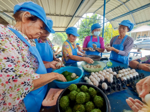 ศูนย์ส่งเสริมการจัดการศึกษาตามพระบรมราโชบาย มรภ.เทพสตรี ขยายผลศาสตร์พระราชา ลงพื้นที่ ต.โพสังโฆ จัดอบรมการทำไข่เค็มใบเตยดินสอพอง เสริมสร้างรายได้ยั่งยืน