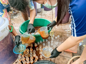 มรภ.เทพสตรี รุกสร้างเศรษฐกิจฐานราก จัดอบรมเกษตรปลอดภัย ชูนวัตกรรมงานวิจัยยกระดับสินค้าเกษตร