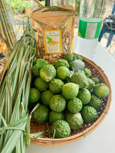 คณะวิทยาการจัดการ มรภ.เทพสตรี ลงพื้นที่ถ่ายทอดเทคโนโลยีการแปรรูปสมุนไพร เสริมสร้างรายได้แก่กลุ่มวิสาหกิจชุมชนภูมิธาราพรรณ จ.สระบุรี