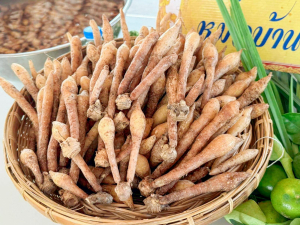 คณะวิทยาการจัดการ มรภ.เทพสตรี ลงพื้นที่ถ่ายทอดเทคโนโลยีการแปรรูปสมุนไพร เสริมสร้างรายได้แก่กลุ่มวิสาหกิจชุมชนภูมิธาราพรรณ จ.สระบุรี