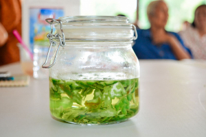 คณะวิทยาการจัดการ มรภ.เทพสตรี ลงพื้นที่ถ่ายทอดเทคโนโลยีการแปรรูปสมุนไพร เสริมสร้างรายได้แก่กลุ่มวิสาหกิจชุมชนภูมิธาราพรรณ จ.สระบุรี