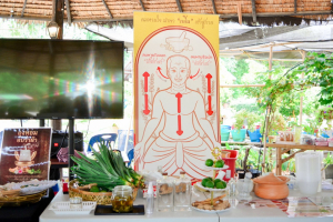 คณะวิทยาการจัดการ มรภ.เทพสตรี ลงพื้นที่ถ่ายทอดเทคโนโลยีการแปรรูปสมุนไพร เสริมสร้างรายได้แก่กลุ่มวิสาหกิจชุมชนภูมิธาราพรรณ จ.สระบุรี