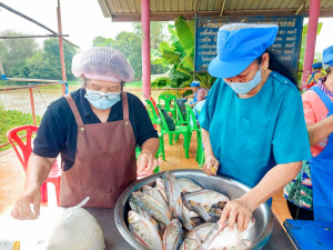 ศูนย์ส่งเสริมการจัดการศึกษาตามพระบรมราโชบาย มรภ.เทพสตรี สานต่อศาสตร์พระราชา ลงพื้นที่ถ่ายทอดทักษะการทำปลาส้ม เสริมสร้างอาชีพแก่ชุมชน ต.โพสังโฆ จ.สิงห์บุรี