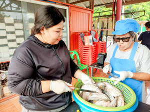 ศูนย์ส่งเสริมการจัดการศึกษาตามพระบรมราโชบาย มรภ.เทพสตรี สานต่อศาสตร์พระราชา ลงพื้นที่ถ่ายทอดทักษะการทำปลาส้ม เสริมสร้างอาชีพแก่ชุมชน ต.โพสังโฆ จ.สิงห์บุรี