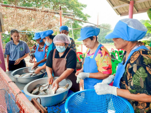 ศูนย์ส่งเสริมการจัดการศึกษาตามพระบรมราโชบาย มรภ.เทพสตรี สานต่อศาสตร์พระราชา ลงพื้นที่ถ่ายทอดทักษะการทำปลาส้ม เสริมสร้างอาชีพแก่ชุมชน ต.โพสังโฆ จ.สิงห์บุรี