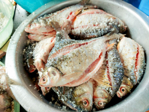 ศูนย์ส่งเสริมการจัดการศึกษาตามพระบรมราโชบาย มรภ.เทพสตรี สานต่อศาสตร์พระราชา ลงพื้นที่ถ่ายทอดทักษะการทำปลาส้ม เสริมสร้างอาชีพแก่ชุมชน ต.โพสังโฆ จ.สิงห์บุรี