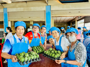 ศูนย์ส่งเสริมการจัดการศึกษาตามพระบรมราโชบาย มรภ.เทพสตรี ลงพื้นที่ถ่ายทอดศาสตร์พระราชา 