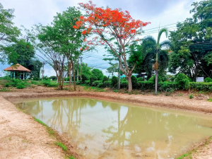 มรภ.เทพสตรี เดินหน้าอนุรักษ์พันธุ์พืชพื้นถิ่นเมืองลพบุรี นำน้อยหน่าพระนารายณ์มหาราช ทดลองปลูกในแปลงเกษตรผสมผสาน เตรียมขยายพันธุ์สู่ชุมชน
