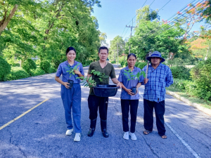 มรภ.เทพสตรี เดินหน้าอนุรักษ์พันธุ์พืชพื้นถิ่นเมืองลพบุรี นำน้อยหน่าพระนารายณ์มหาราช ทดลองปลูกในแปลงเกษตรผสมผสาน เตรียมขยายพันธุ์สู่ชุมชน