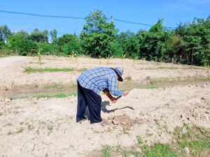 มรภ.เทพสตรี เดินหน้าอนุรักษ์พันธุ์พืชพื้นถิ่นเมืองลพบุรี นำน้อยหน่าพระนารายณ์มหาราช ทดลองปลูกในแปลงเกษตรผสมผสาน เตรียมขยายพันธุ์สู่ชุมชน