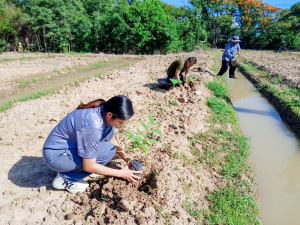 มรภ.เทพสตรี เดินหน้าอนุรักษ์พันธุ์พืชพื้นถิ่นเมืองลพบุรี นำน้อยหน่าพระนารายณ์มหาราช ทดลองปลูกในแปลงเกษตรผสมผสาน เตรียมขยายพันธุ์สู่ชุมชน